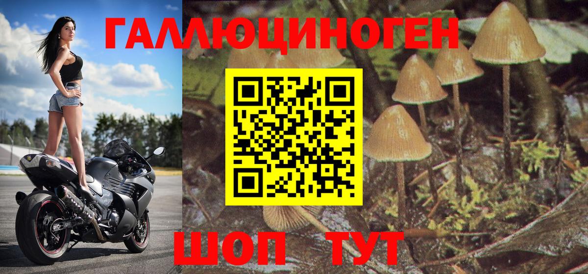 Кувандык  Галлюциногенные грибы ЛСД  Вход с VPN 