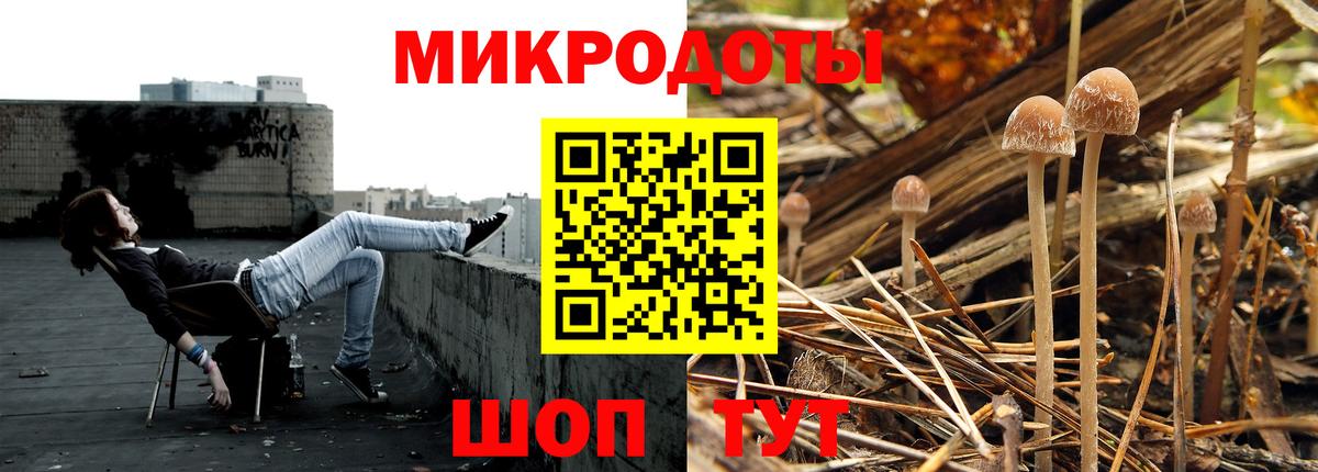 Галлюциногенные грибы Psilocybine cubensis Кувандык